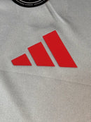 Camisa Internacional Treino Cinza 25/26