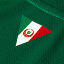 Camisa Palmeiras Torcedor - 26/27 - Verde - Sportingbet - Pré Venda